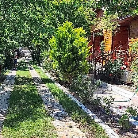 Elly's Datça