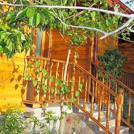 Elly's Hotell
